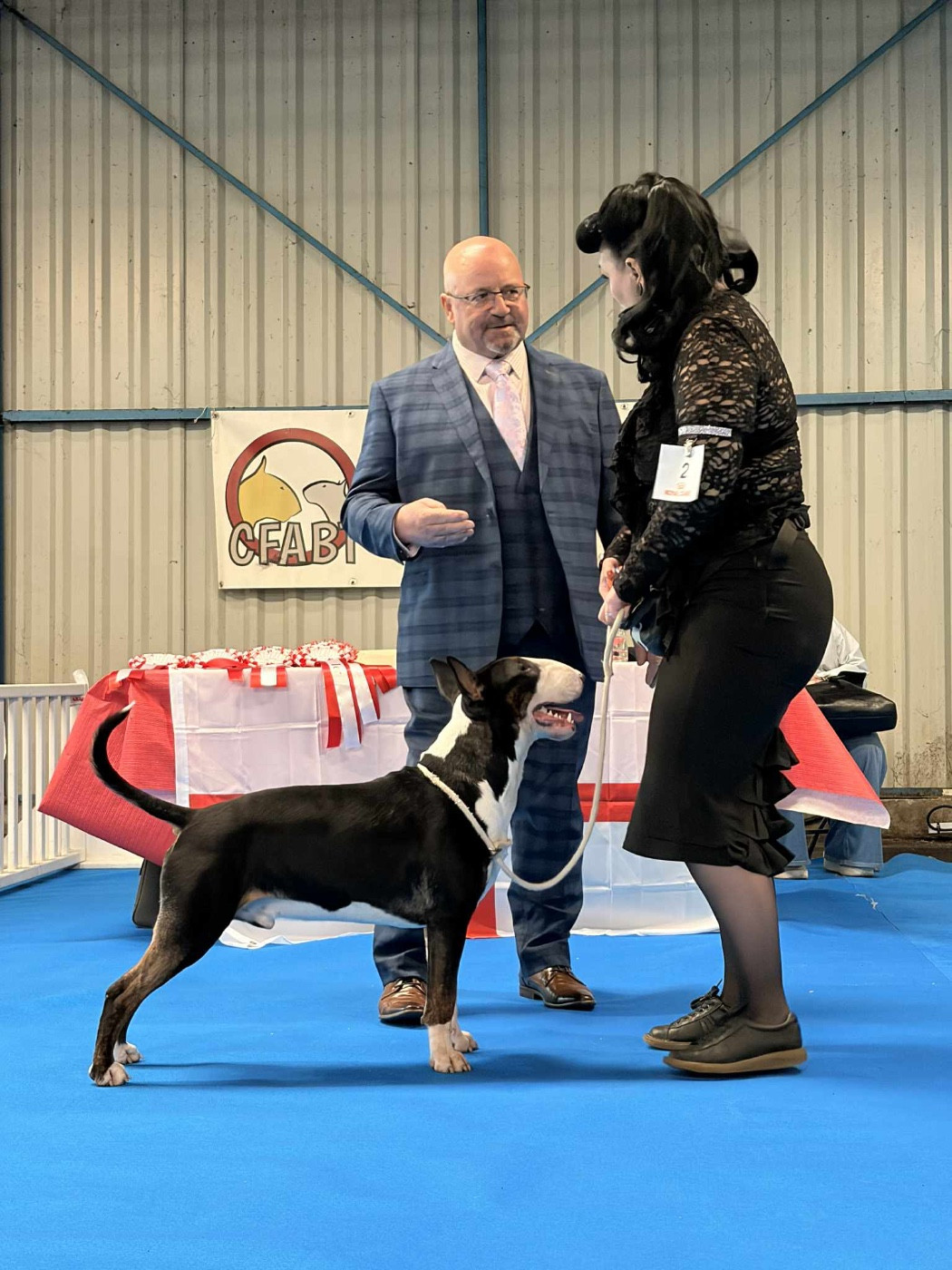 Famous Bull Inside Ace Of Spades